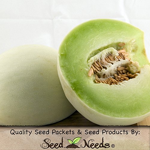 Honeydew Green Melon Seeds