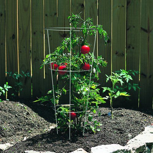 Panacea 89723 Tomato And Plant Support Cage Galvanized Set Of 10