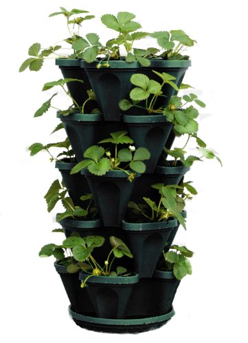 https://containergardenclub.com/wp-content/uploads/2016/04/5-Tier-Stackable-Strawberry-Herb-Flower-Vegetable-Planter-Vertical-Gardening-Indoor-Outdoor-Stacking-Garden-Pots-0.jpg