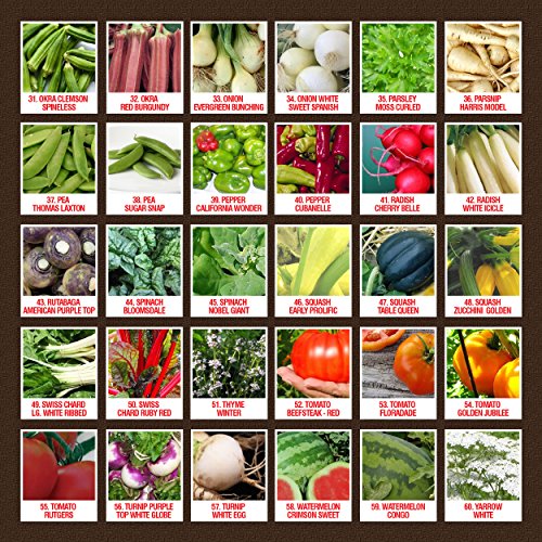100% Organic Heirloom Seeds, 60 Varieties Non-GMO Vegetable, Fruits ...